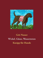 Wickel, Güsse, Wassertreten: Kneipp für Hunde