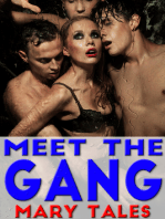 Meet The Gang