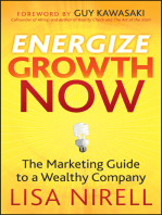 Energize Growth Now: The Marketing Guide to a Wealthy Company