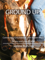 Ground Up; Connecting Groundwork with Ridden Work for you and your Horse