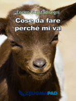 Cose da fare perché mi va