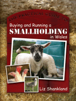 The Practical Guide to Buying and Running a Smallholding in Wales