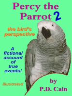 Percy the Parrot 2: the bird's perspective