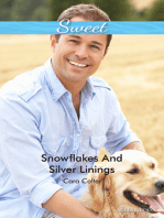 Snowflakes And Silver Linings