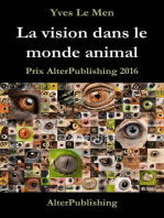 La vision dans le monde animal