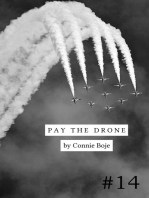 Pay the Drone