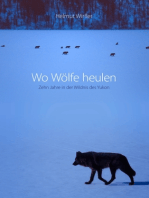 Wo Wölfe heulen: Zehn Jahre in der Wildnis des Yukon