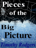 Pieces of the Big Picture: Poetry