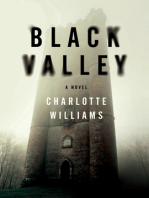 Black Valley: A Novel
