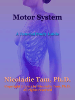 Motor System