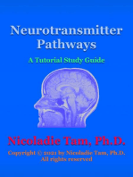 Neurotransmitter Pathways: A Tutorial Study Guide