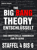 The Big Bang Theory entschlüsselt 2