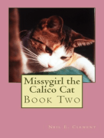 Missygirl the Calico Cat Book Two