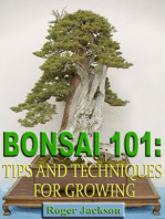 Bonsai 101