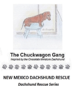 The Chuckwagon Gang