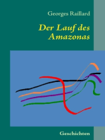 Der Lauf des Amazonas