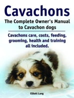 Cavachons. The Complete Owner’s Manual to Cavachon dogs. Cavachons care, costs, feeding, grooming, health and training all included.