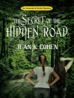 The Secret of the Hidden Road