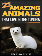 21 Amazing Animals That Live In The Tundra: Weird & Wonderful Animals, #5