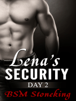 Lena's Security, Day 2