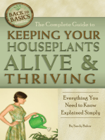 The Complete Guide to Keeping Your Houseplants Alive and Thriving: Everything You Need to Know Explained Simply
