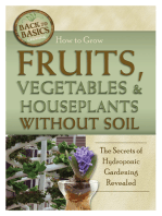 How to Grow Fruits, Vegetables & Houseplants Without Soil: The Secrets of Hydroponic Gardening Revealed