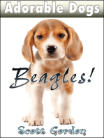 Adorable Dogs: Beagles: Adorable Dogs