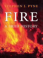 Fire: A Brief History