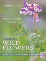 Harrap's Wild Flowers