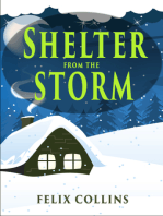 Shelter from the Storm