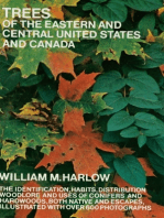 Trees of the Eastern and Central United States and Canada