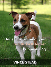 how to train your jack russell puppy