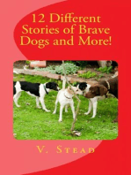 12 Different Stories of Brave Dogs and More!