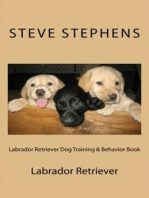 Labrador Retriever Dog Training & Behavior Book