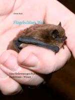 Flügelschlags Welt: Fledermaus-Wissen