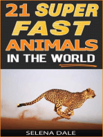 21 Super Fast Animals In The World: Weird & Wonderful Animals, #8