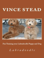 Fun Training your Labradoodle Puppy and Dog