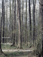 Waldflora: Bilder aus dem Spreewald