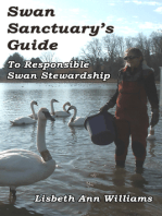 Swan Sanctuary's Guide to Responsible Swan Stewardship