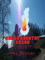 Amish Country Arson