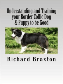 raising a border collie