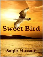 Sweet Bird