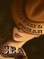 Sea. Ein Steampunk-Western