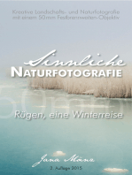 Sinnliche Naturfotografie: 50mm - Rügen, eine Winterreise