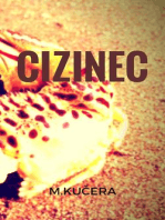 Cizinec