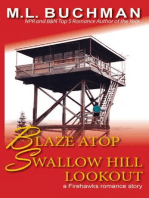 Blaze Atop Swallow Hill Lookout: Firehawks Lookouts, #3