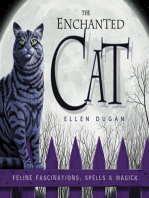 The Enchanted Cat