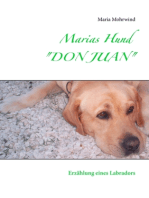 Marias Hund "DON JUAN": Erzählung eines Labradors