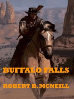 Buffalo Falls