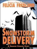 Snowstorm Delivery: Shadow Courier